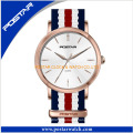 Dw Style Classic Simply High Quality Watch